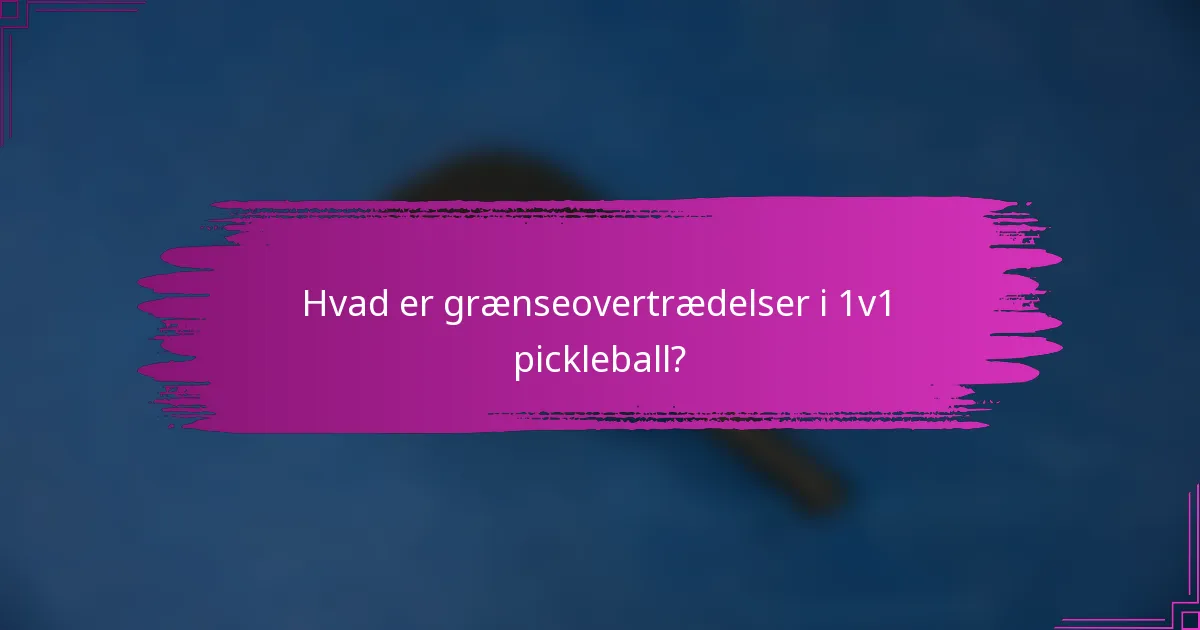 Hvad er grænseovertrædelser i 1v1 pickleball?