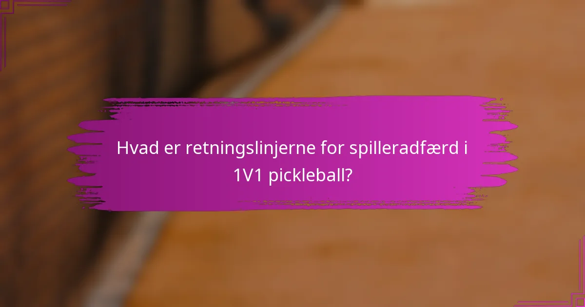 Hvad er retningslinjerne for spilleradfærd i 1v1 pickleball?