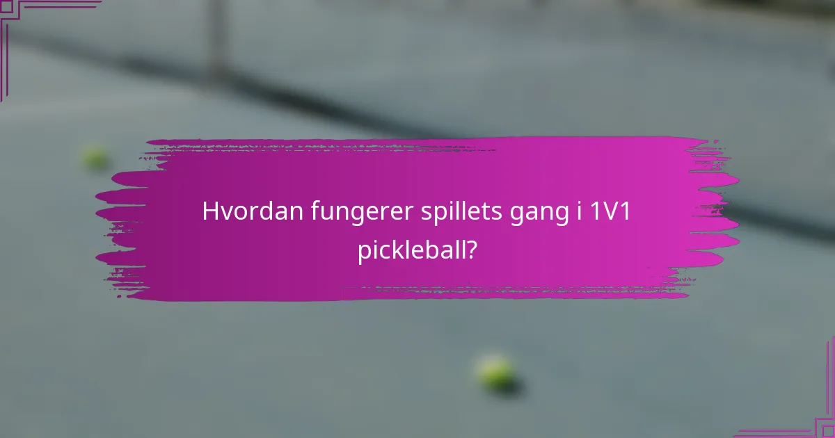Hvordan fungerer spillets gang i 1V1 pickleball?